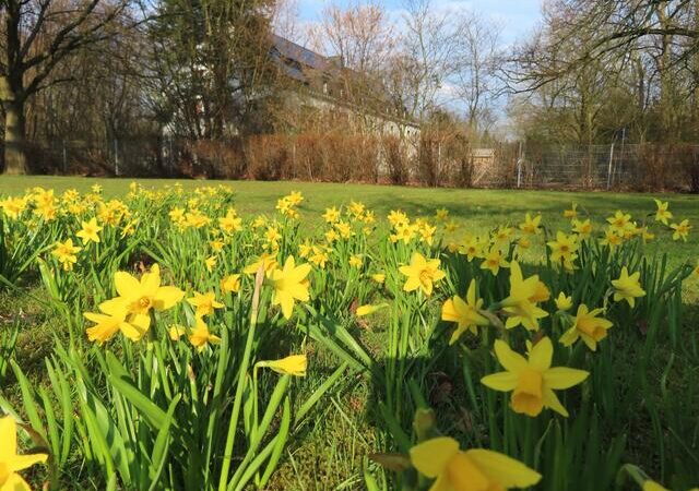Frühling naht