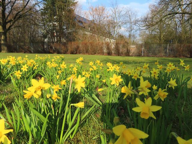 Frühling naht