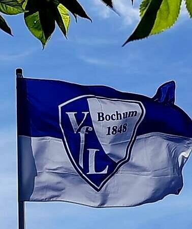 VfL Bochum-Eintracht Frankfurt