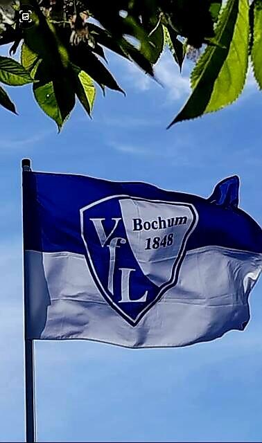 VfL Bochum-Eintracht Frankfurt