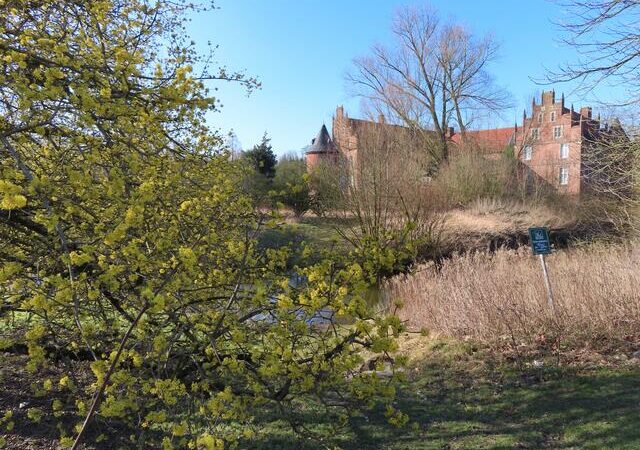 Sonne auf Vollgas, Wind auf Frostmodus – der Vor-Frühling übt noch