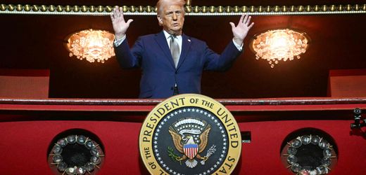 Wirtschatspolitik von Donald Trump: »Es gibt praktisch keinen Ökonomen, der diese Politik gut findet«