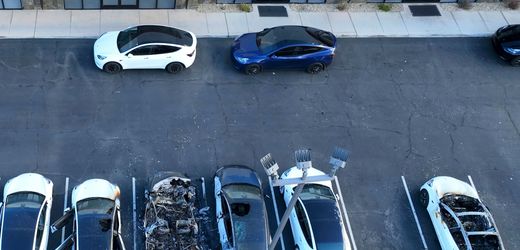 Donald Trump wertet Angriffe auf Teslas als Inlandsterrorismus