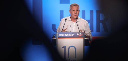 Petr Bystron: EU-Parlament will Immunität wegen Hitlergruß-Montage aufheben
