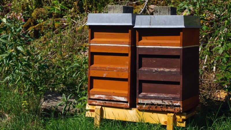 Bochum: 70.000 Tiere in Bochum gestohlen – Polizei bittet um Hilfe
