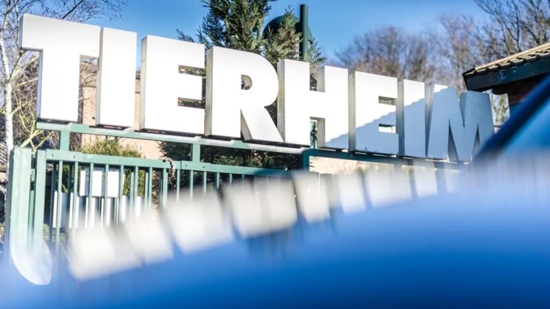 Bochum: Kinder stehen vor Tierheimtür – was sie in den Händen halten, rührt zu Tränen