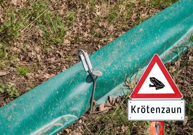 Wenn das Herz spricht