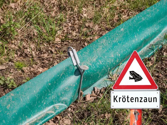 Wenn das Herz spricht